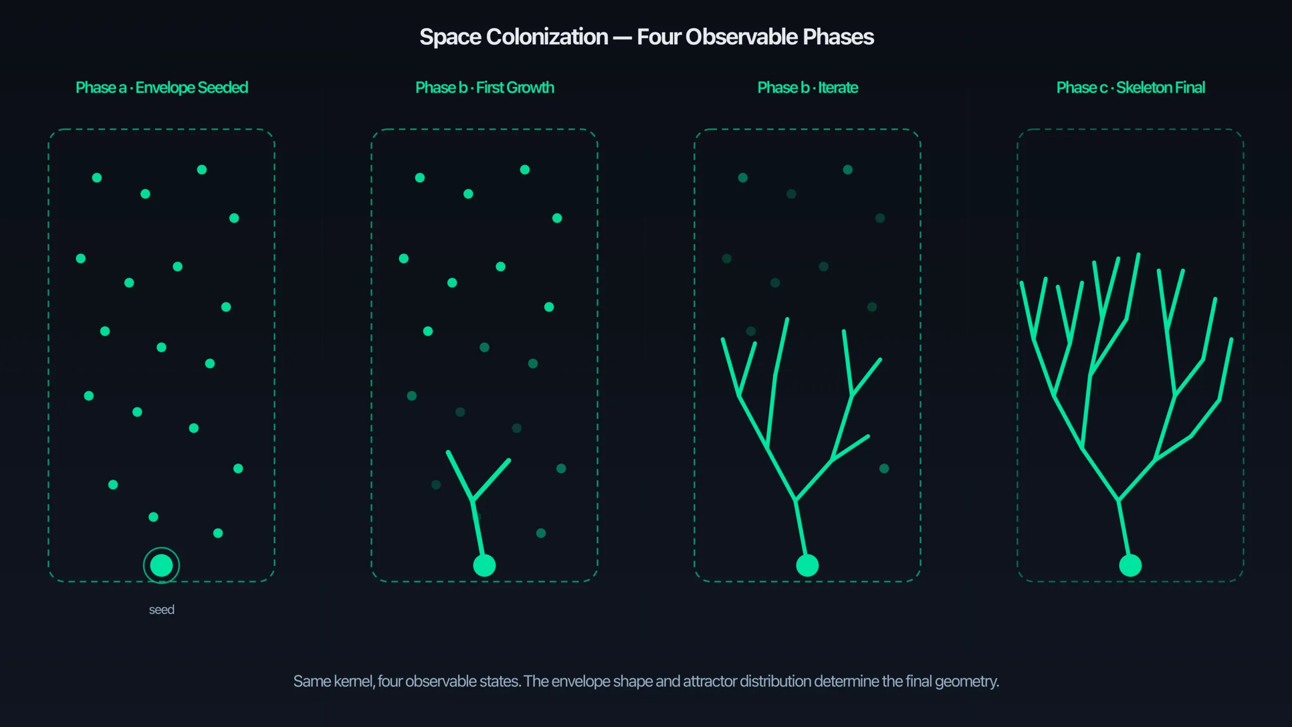 A four-panel diagram showing the colonization algorithm progressing left to right — panel 1 shows scattered attractor dots inside an outlined envelope with a single bright seed at the bottom, panel 2 shows the seed split into two short directed segments reaching toward nearby attractors, panel 3 shows a branching tree-like structure with many attractors now consumed and dimmed, panel 4 shows the final dense skeleton filling the envelope with all attractors gone and the branch tips reached the envelope edge